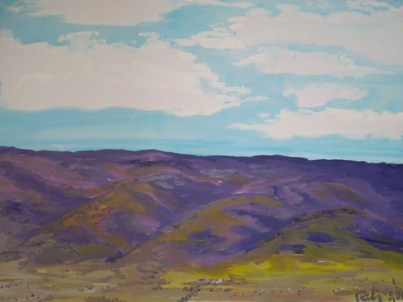 Flinders Ranges painted by Philip David